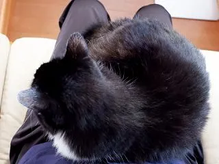 緩めの団子