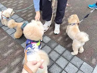 で だれ！？