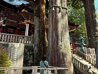 主婦が2泊3日で友達に会いに？実は、私の…