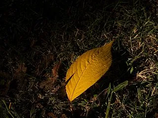 秋の撮影会ロケハン １４
