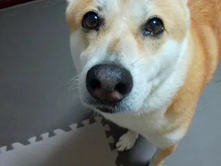 意外な反応。