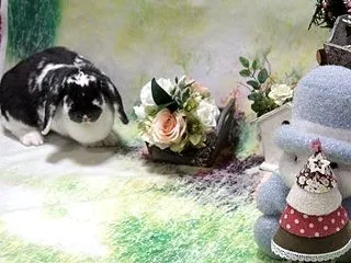 思い出 撮影会ひな②