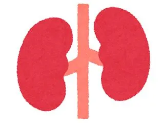 【IgA腎症】eGFR52の現状と、大塚…