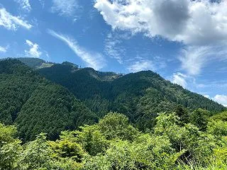 カイロプラクティックの技術試験と岐阜県可…