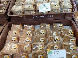 １０月２０日（火）、市ケ谷駅に、コボコボ…