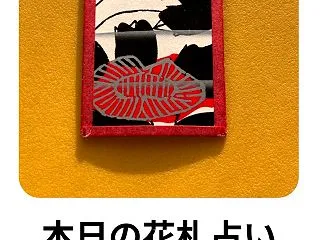 本日の花札占い