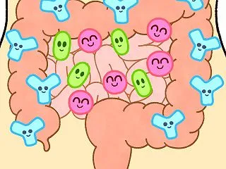 花粉症アトピーアレルギー解消には腸内環境…