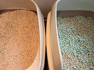 猫のトイレはシステムトイレ？ 固まる猫砂…