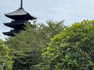 離婚