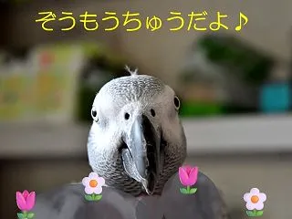 そのような場所を増毛なさらずあるべき場所…