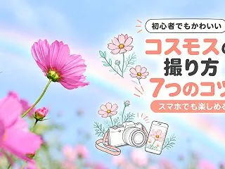 コスモスの撮り方7つのコツ！スマホでSN…