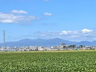 今年は忙しい市民まつり
