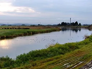 雨がやんで 大崎市