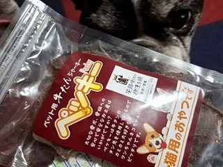 2ブヒさん歯が弱く。。。再診記録