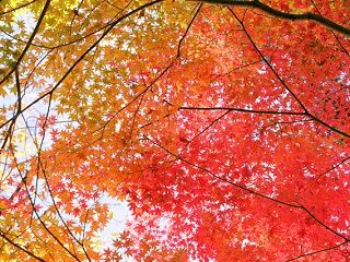 10月26日 おうし座満月 キラキラの宝…
