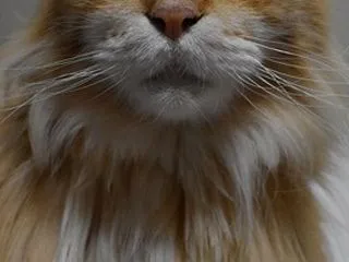 昨日は大雨