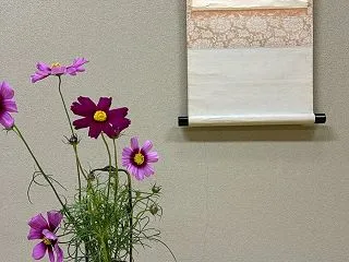 コスモス・栗の大福・東博「大徳寺」