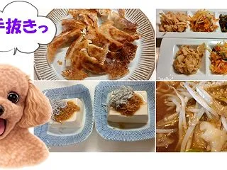 いつも手抜きでごめんねごめんね～♪