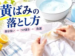 しまっていた白い服が黄ばむのはなぜ？落と…