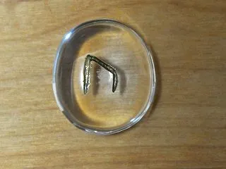 ウル・ウルズ