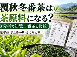 被覆秋冬番茶は抹茶原料になる？成分分析で…