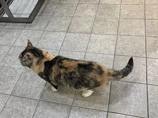 雨の月曜日