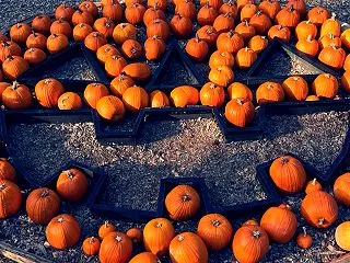 ハロウィン