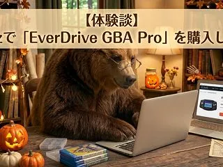 【体験談】Krikzzで「EverDri…