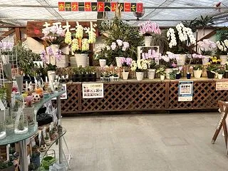 今朝は冷え込みましたね！