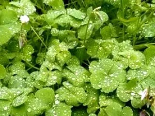 お天気に恵まれました