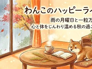 雨の月曜日と一粒万倍日｜心と体をじんわり…