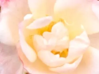 イーグルズゲートにやるといいこと