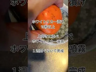 南木曽駅で買った398円渋柿、ホワイトリ…