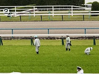 【ターフに見つけた断捨離】菊花賞、武豊騎…