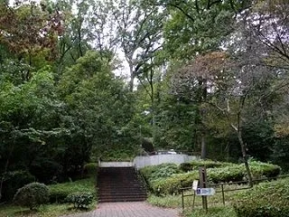 町田国際版画美術館で戯画を楽しむ