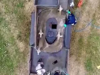 羊が首だけ出して楕円の水槽をぐるぐる回る…