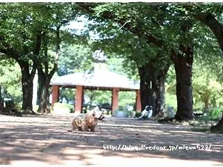 ★木陰テチテチ♪★