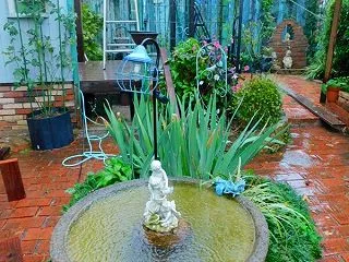 今日も雨 ニャンコタイム