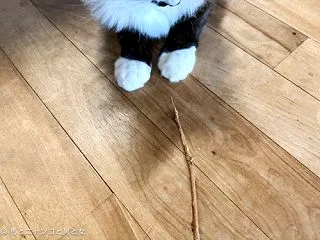 いっそ