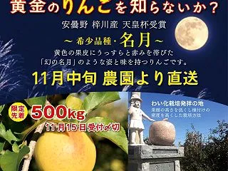 毎年恒例！天皇杯受賞りんご 名月（めいげ…