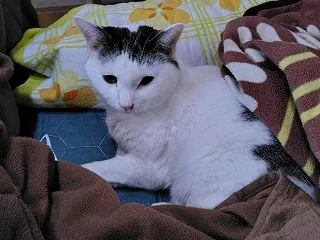 オムツ騒動のその後・・・(*´ω｀*)