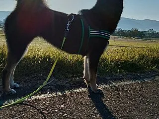 行くべき世界の旅行先