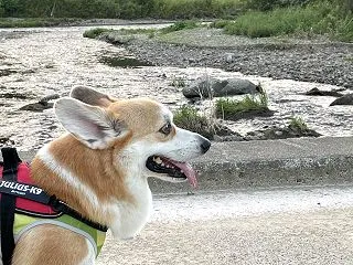 たいふうだよ