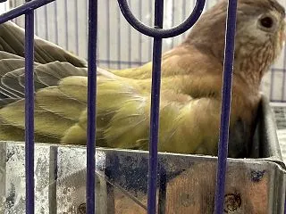 また餌入れにどっぷりつかる