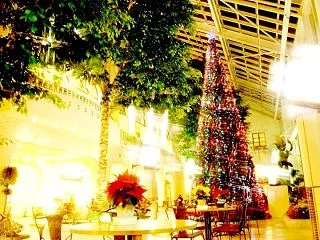 クリスマスツリー＆イルミネーションが淡路…