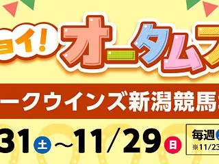 パークウインズ新潟競馬場で開催されるオー…