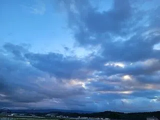 サラダ菜