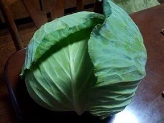 お裾分け
