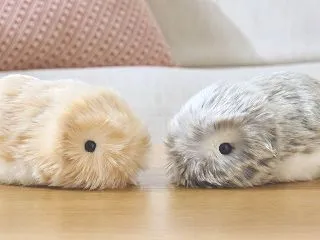・今、すんごく欲しい物