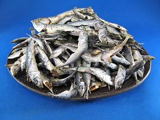 さば煮干し 50g 【今週の無料お試し】…
